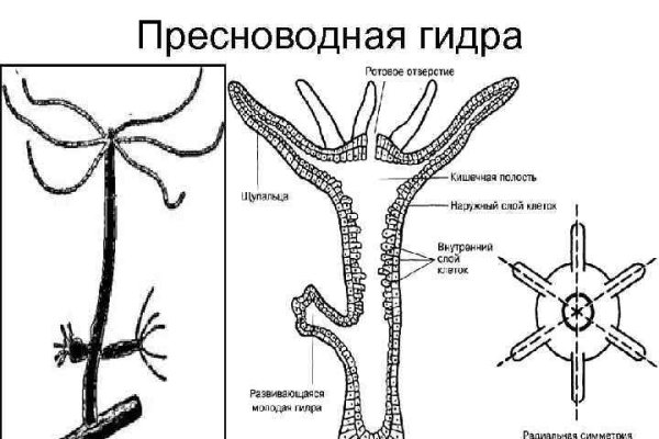 Рабочие ссылки и зеркала кракен